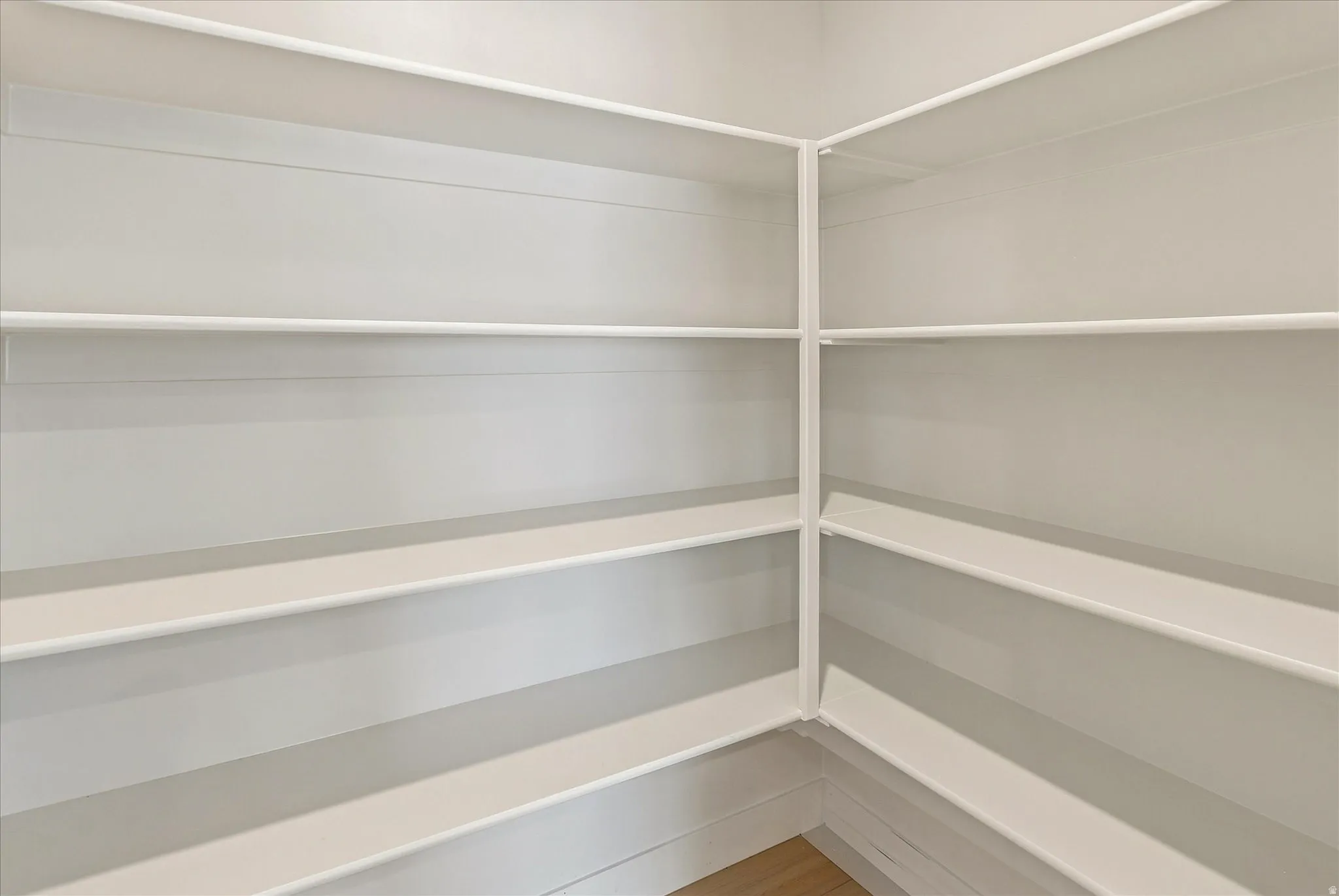 Walk-in pantry featuring extensive white shelving