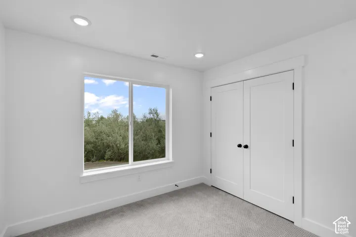 Bright interior space featuring a window with natural scenery, carpet flooring, recessed lighting, and a double-door closet with dark hardware