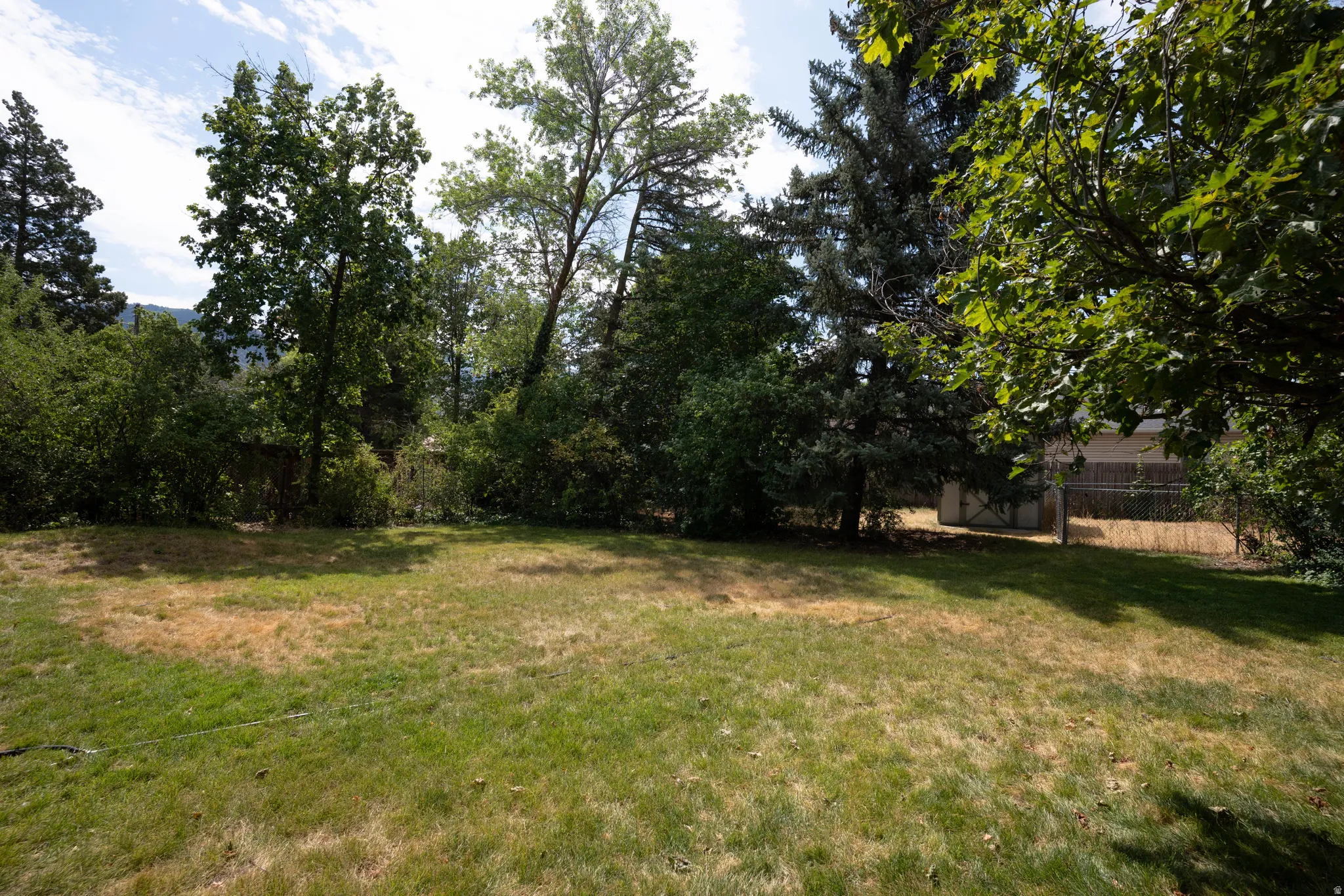 Expansive green lawn surrounded by mature trees and shrubs, with a wood fence bordering the rear property line