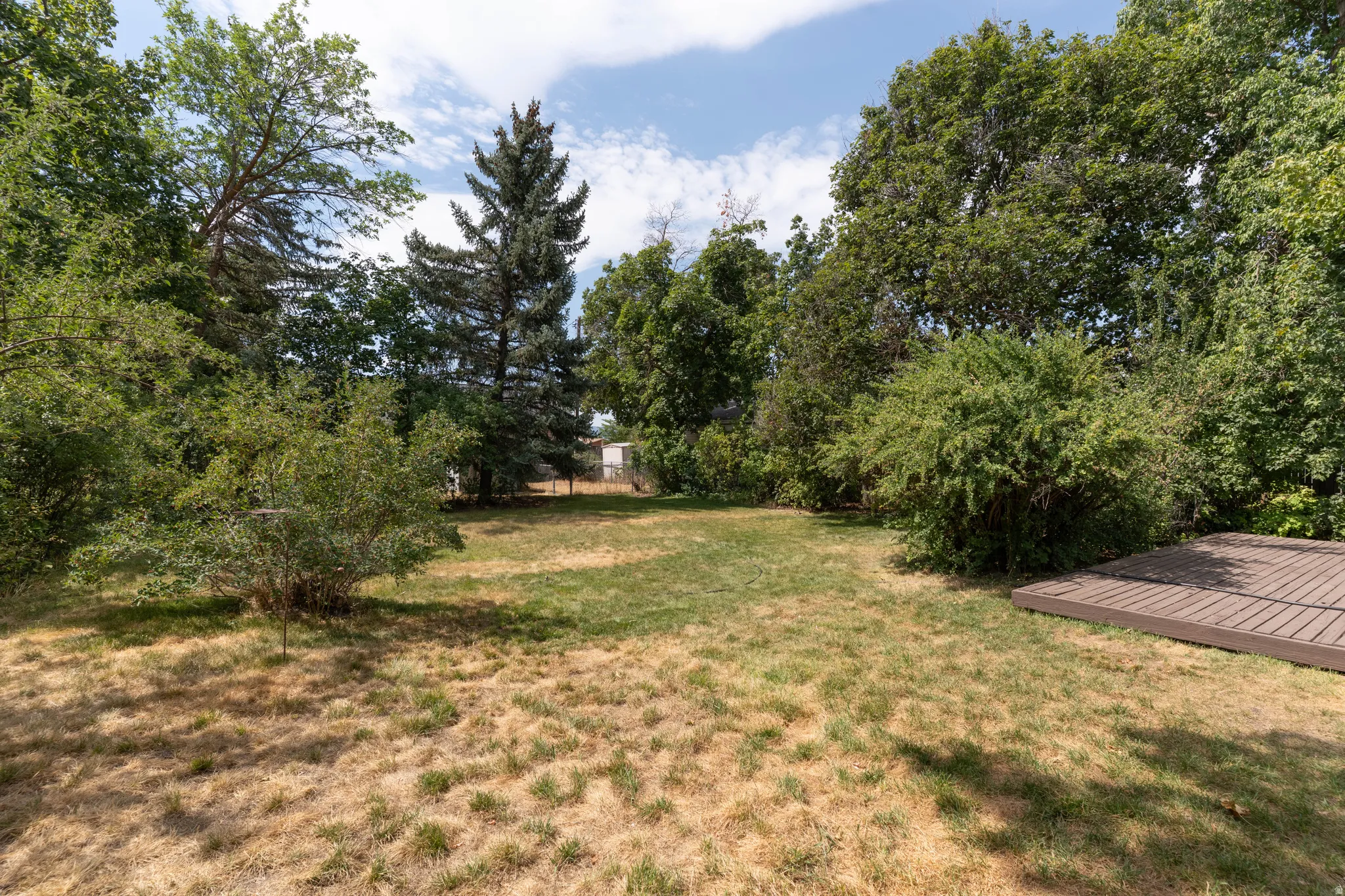 Spacious backyard featuring a brown composite deck and a mix of mature trees and shrubs