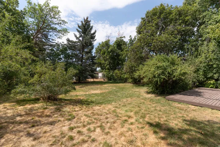Spacious backyard featuring a brown composite deck and a mix of mature trees and shrubs