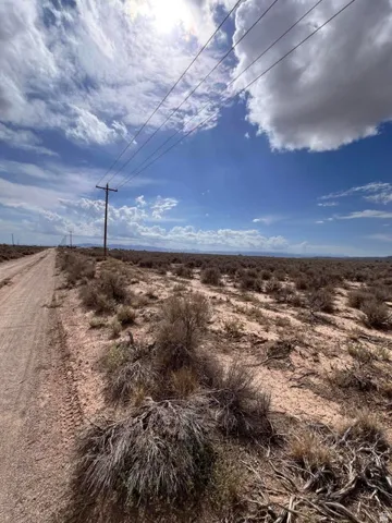 Expansive desert terrain featuring a dirt road and scattered brush