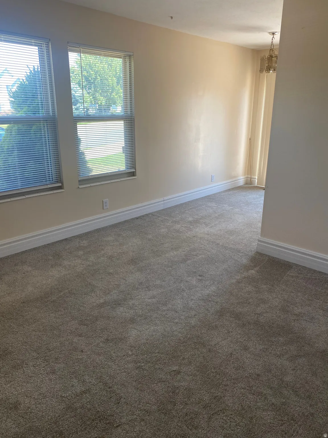 Bright room featuring neutral-toned carpet flooring, two windows with horizontal blinds, white baseboards, and a ceiling-mounted light fixture