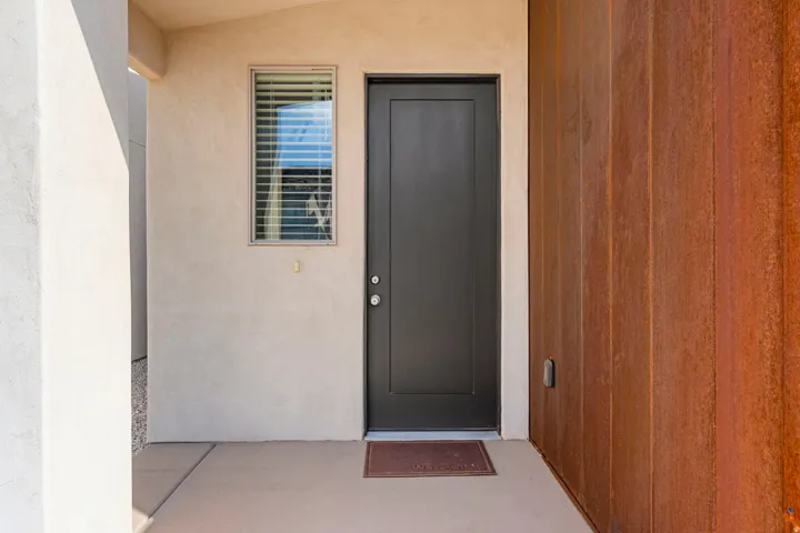 Modern entry door with dark finish, vertical window with blinds, stucco exterior, and textured wood-panel accent wall
