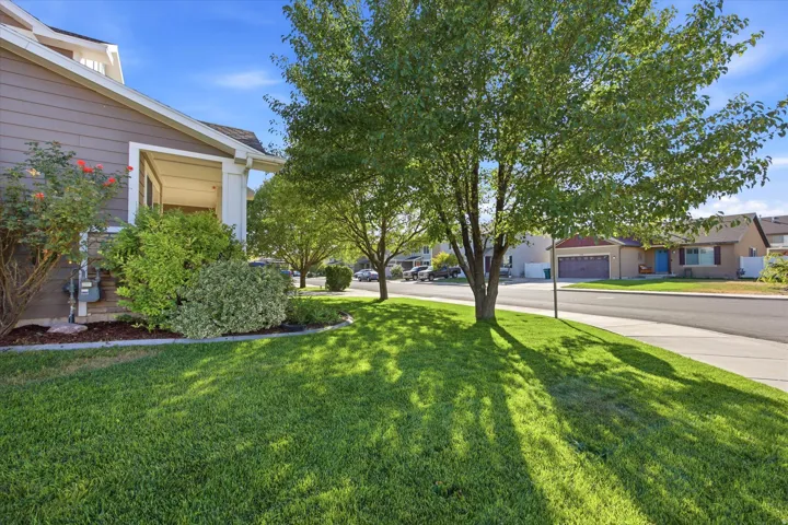 Expansive front lawn featuring mature shade trees, a sidewalk, and a paved street