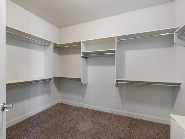 Spacious closet featuring white built-in shelving, chrome hanging rods, and a brown carpeted floor