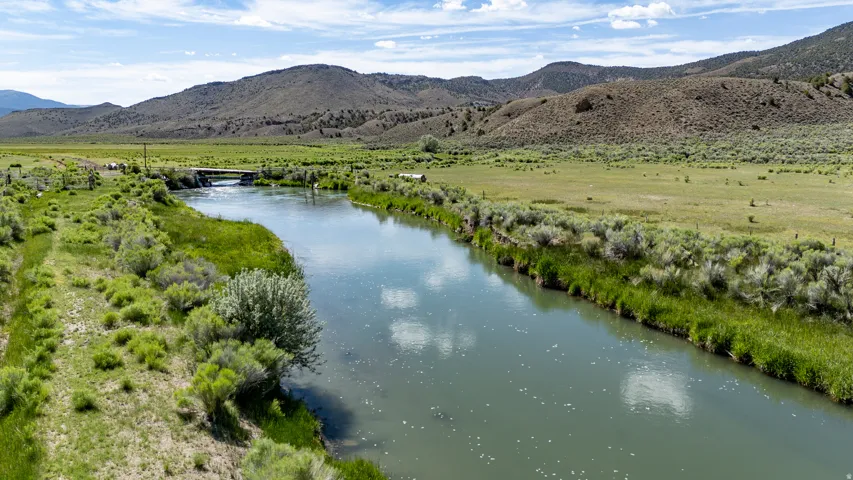 River meandering through a verdant landscape with diverse foliage and distant rolling hills