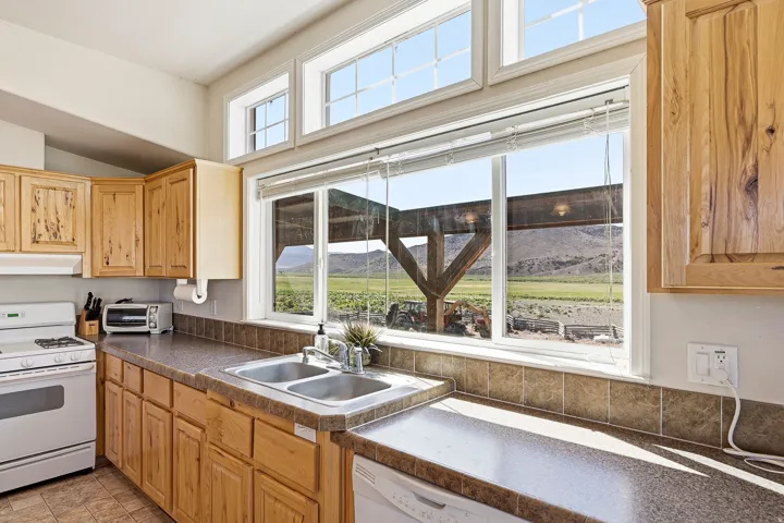 Kitchen featuring extensive cabinetry with wood-finish doors, a double basin sink, and a large window with transom panels