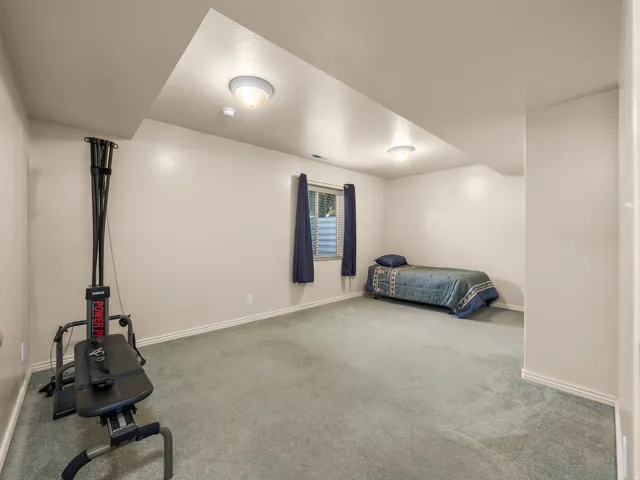 Carpeted room with neutral wall paint and white trim