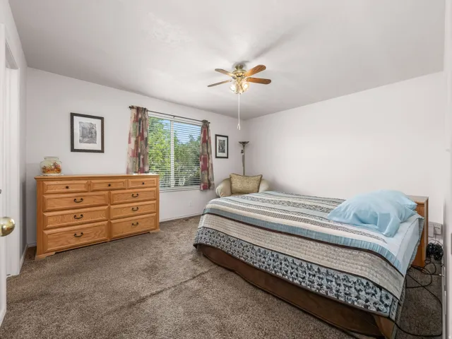 Carpeted room with a ceiling fan light fixture, white walls, and a window featuring blinds