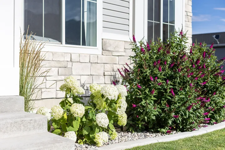 Manicured landscaping featuring vibrant purple and white flowering shrubs, decorative grasses, and a clean gravel border