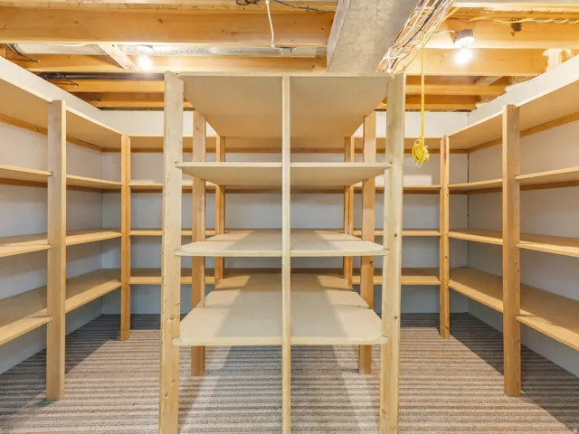 Dedicated storage space featuring extensive built-in shelving, carpet flooring, exposed ceiling joists, and overhead lighting
