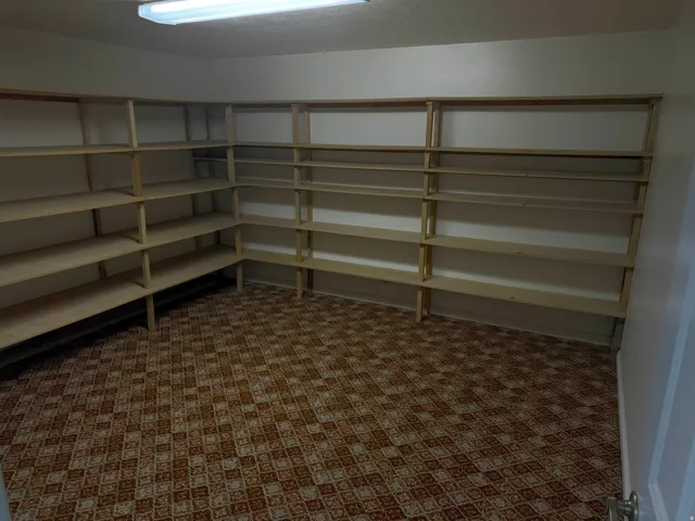 Storage room featuring extensive built-in shelving, patterned carpet flooring, and overhead fluorescent lighting
