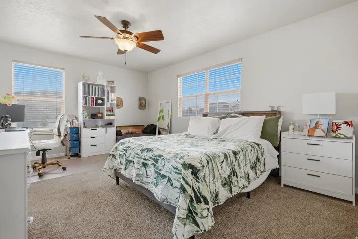 Carpeted interior with a ceiling fan, two windows with blinds, a built-in bookshelf, and a white dresser with dark hardware