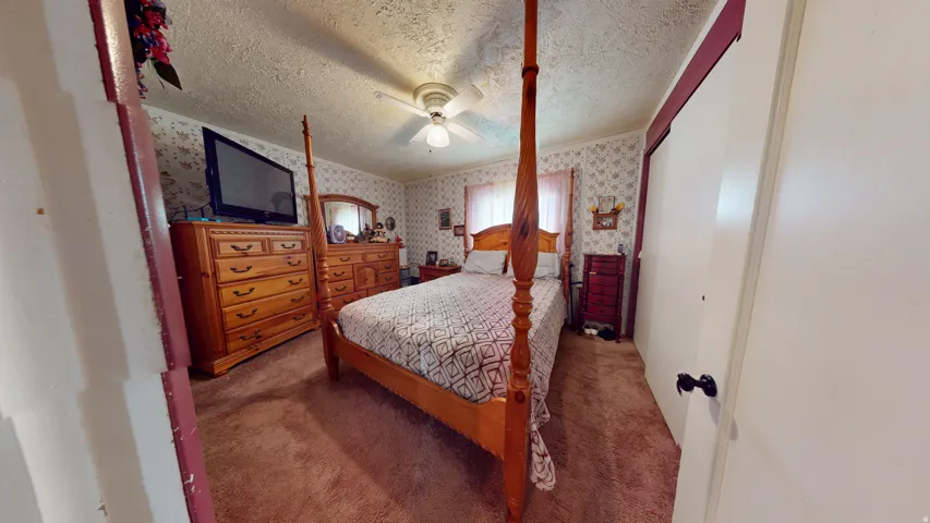 Carpeted room featuring a ceiling fan and textured walls