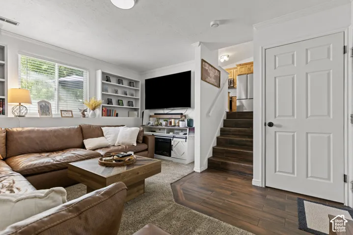 Lower level family room