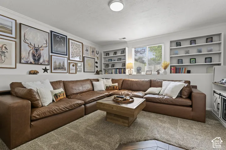 Lower level family room
