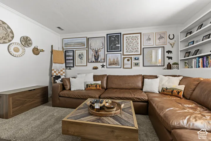 Lower level family room