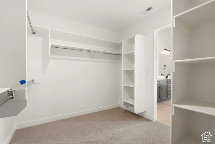 Walk-in closet featuring built-in shelving, hanging rods, and neutral-toned carpeting