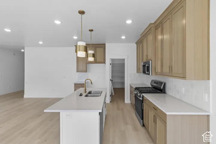 Modern kitchen featuring light wood-finish cabinetry, stainless steel appliances, and a central island with an undermount double-basin sink