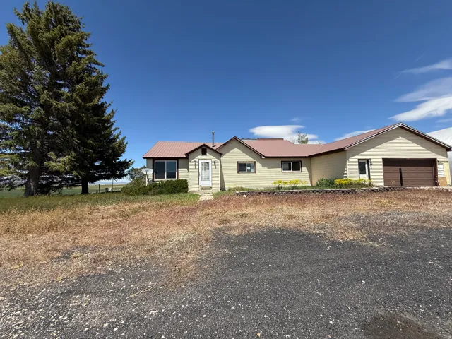 Ranch-style residence featuring a metal roof, light-colored siding, and attached garage