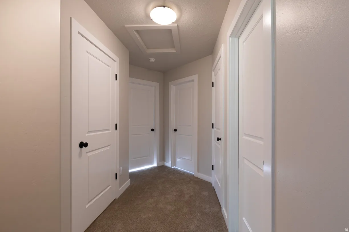 Upstairs hallway featuring neutral wall paint, white panel doors, black door hardware, and plush carpet flooring