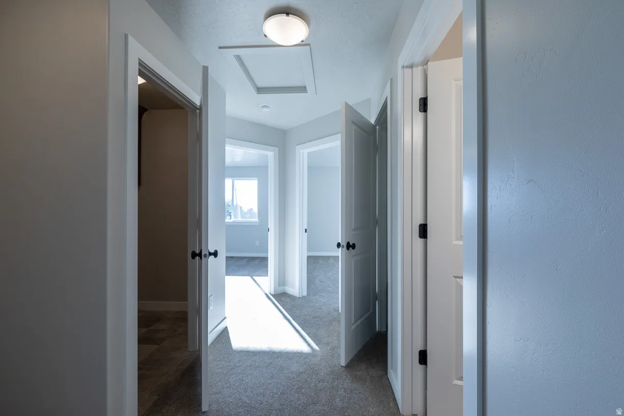 Upstairs carpeted hallway with light neutra walls, white trim, and multiple doorways featuring white paneled doors with matte black hardware