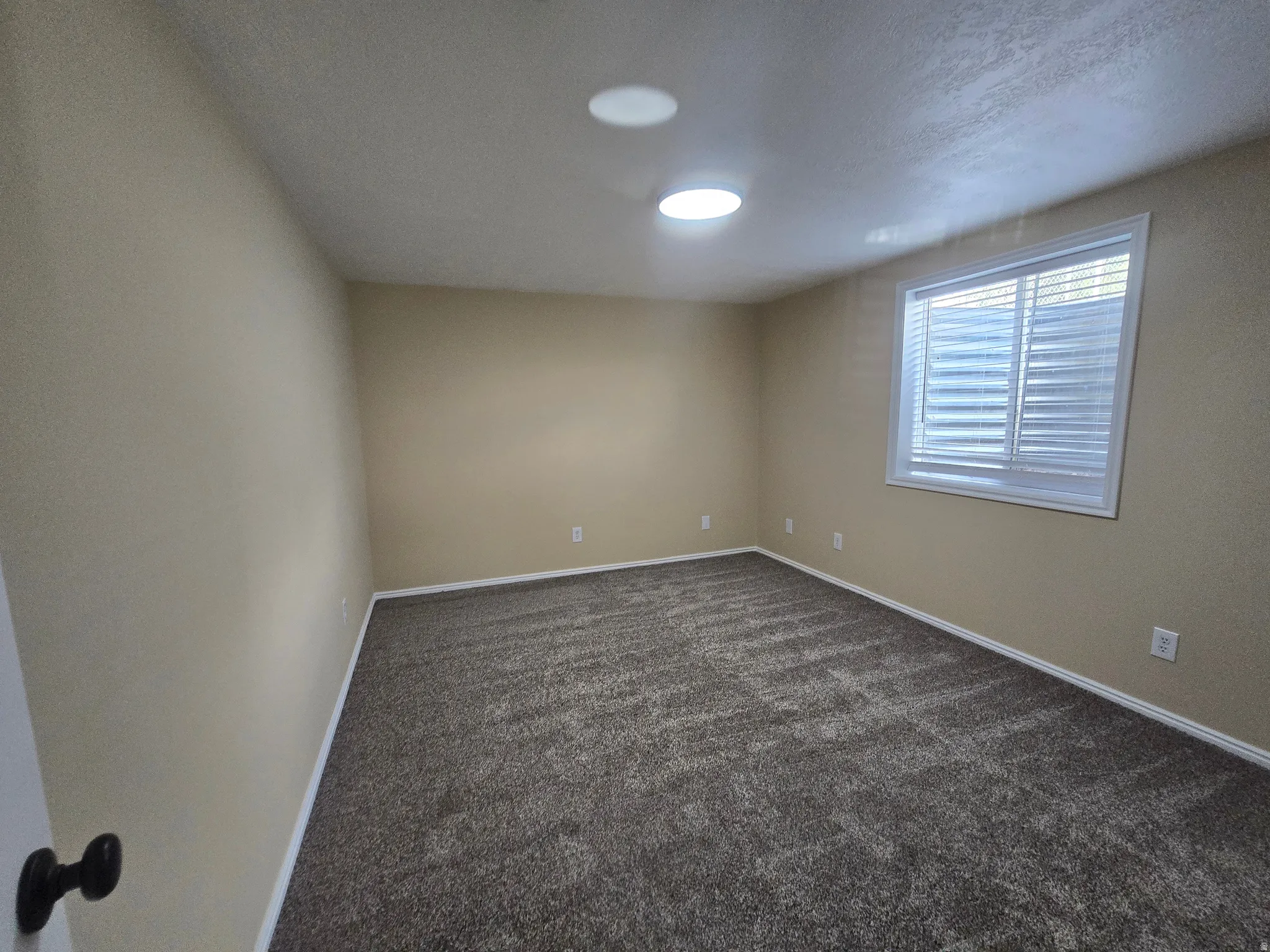 Room featuring textured carpeting, neutral wall paint, and white baseboards