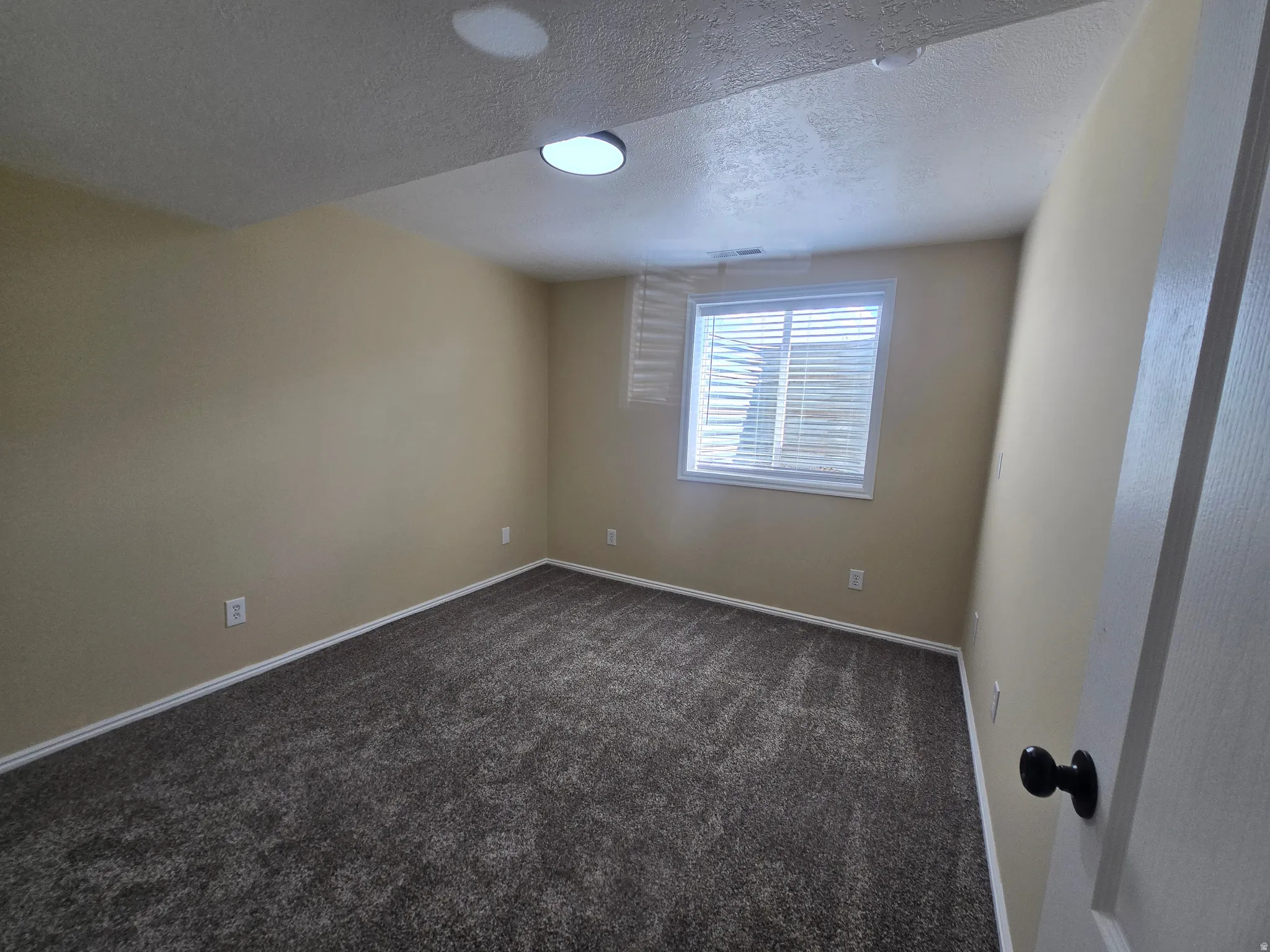 Carpeted room featuring a window with horizontal blinds, neutral-toned walls, white trim, and a flush-mount ceiling light fixture