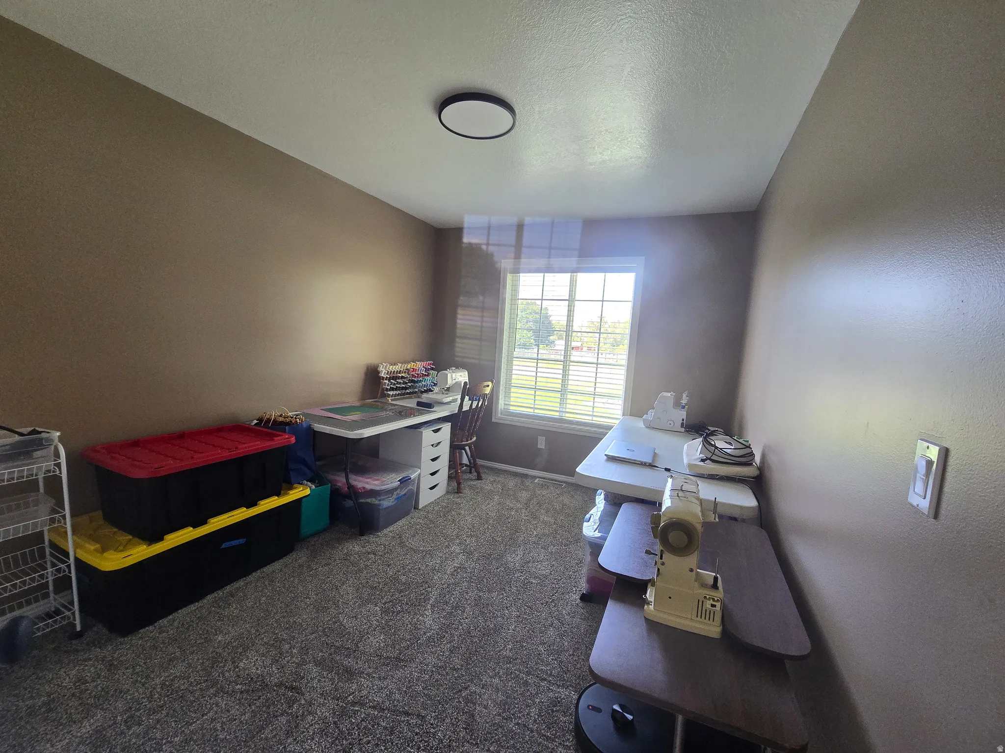 Carpeted room featuring a large window, neutral-toned walls, and a ceiling-mounted light fixture