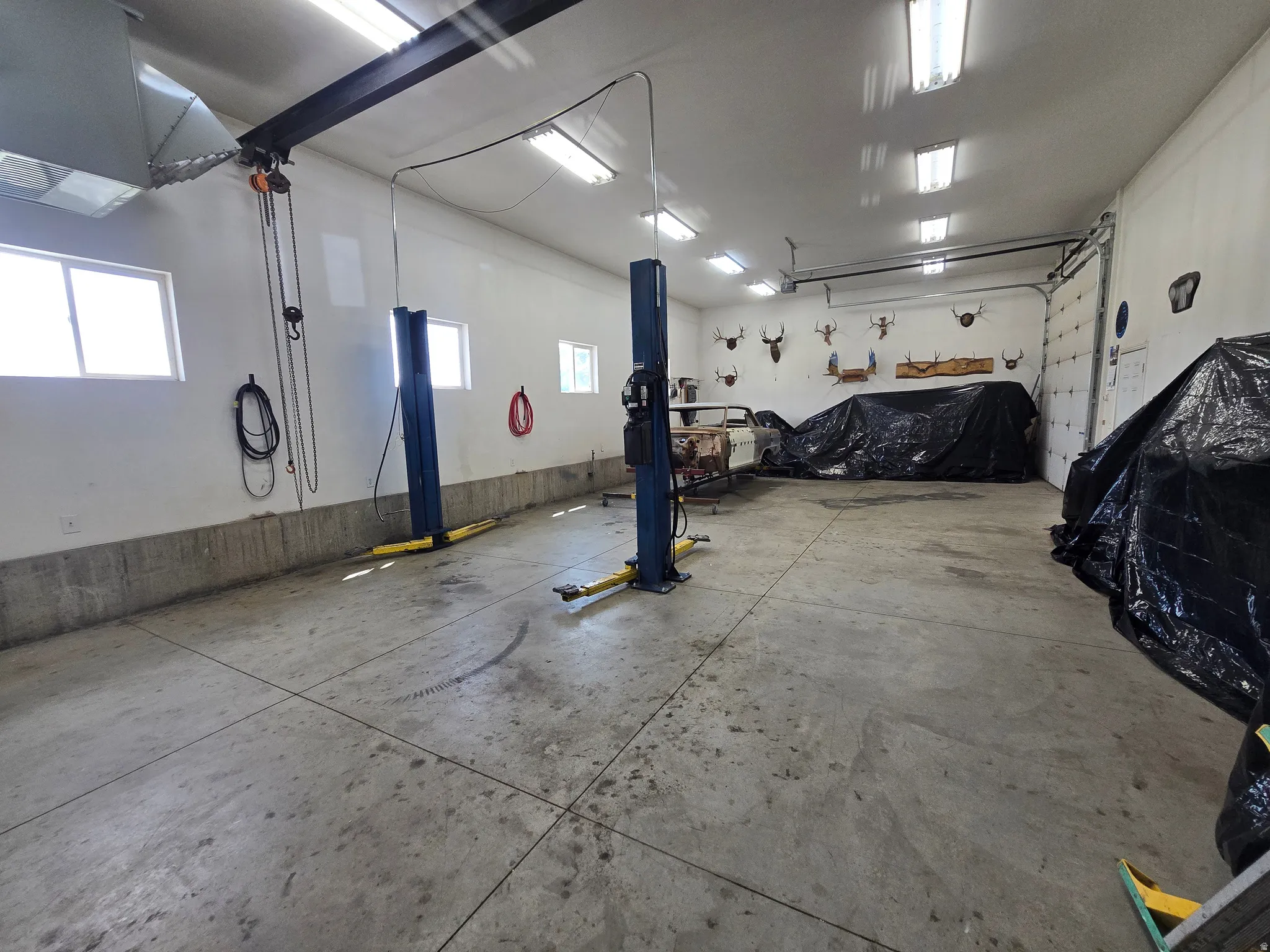 Spacious garage featuring a concrete floor, two vehicle lifts, multiple windows, overhead fluorescent lighting, and a large roll-up door