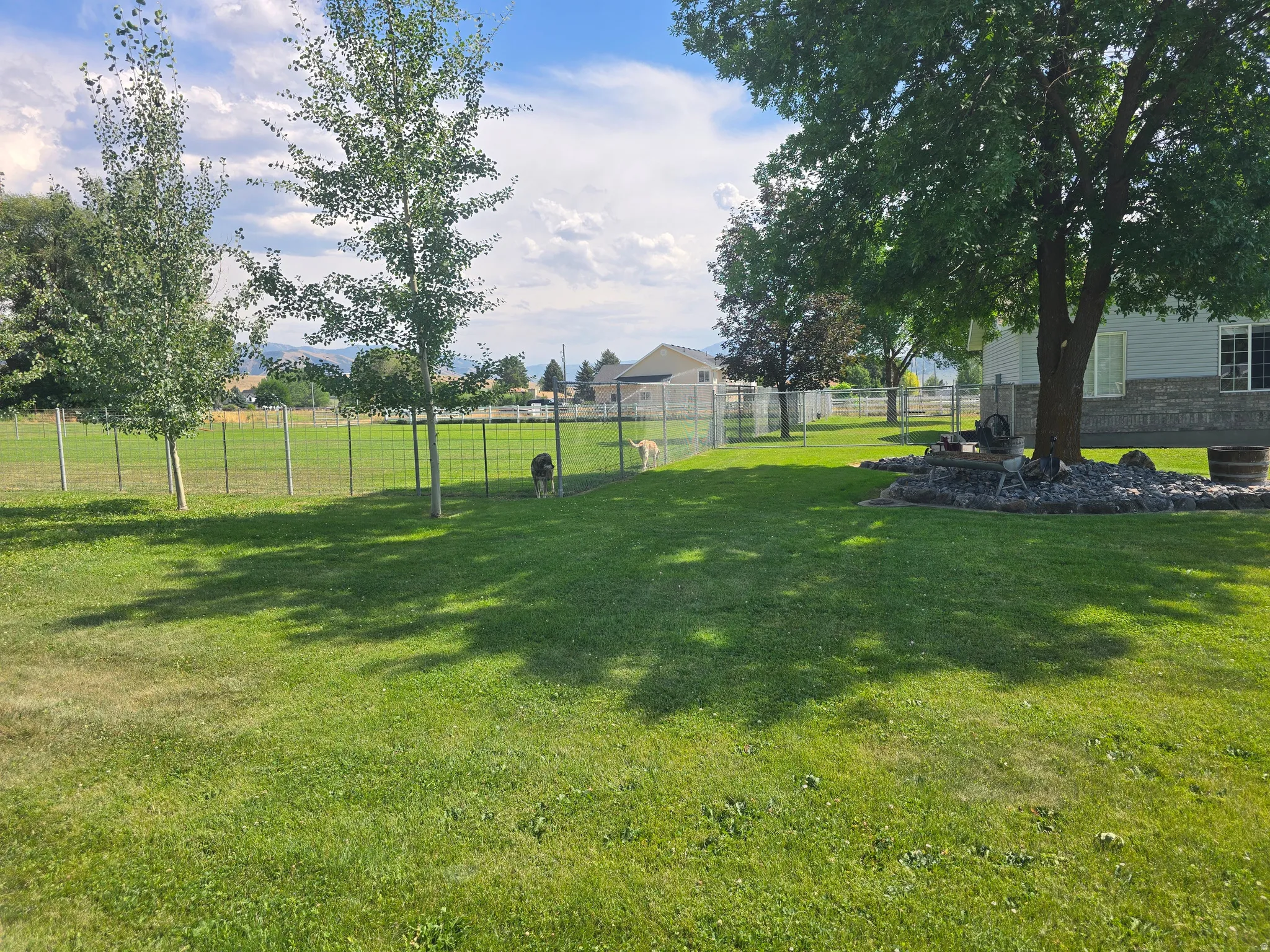 Expansive backyard featuring a manicured lawn, established trees, and a full perimeter fence