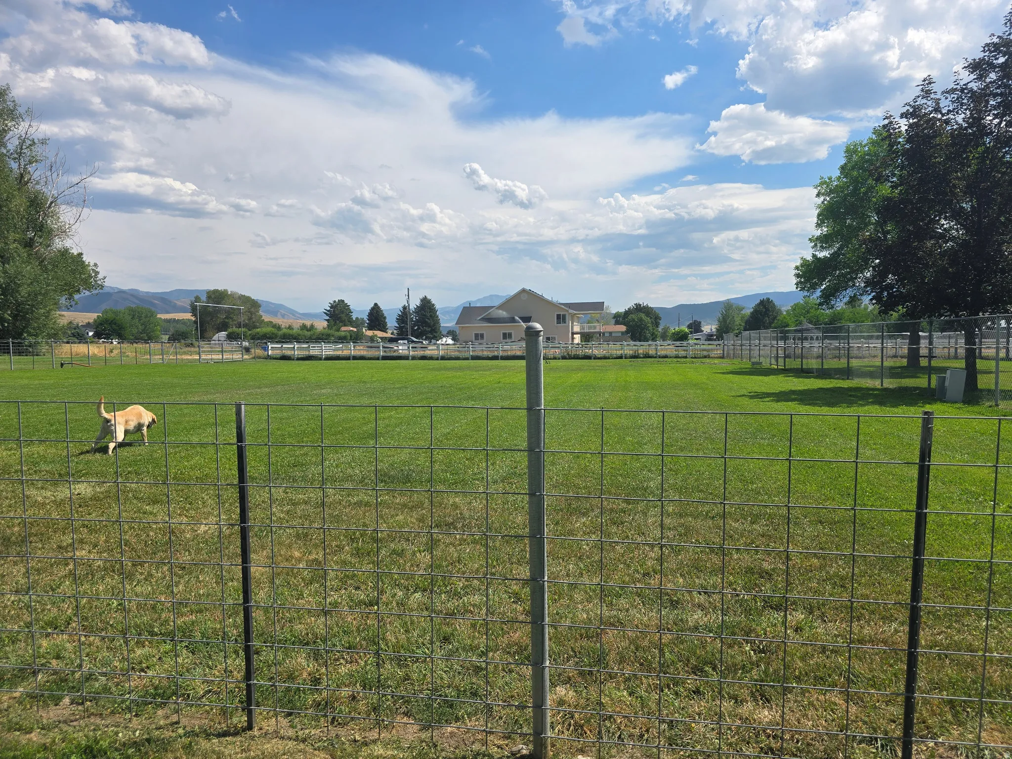 Expansive green lawn surrounded by a wire fence with distant mountains and residential structures