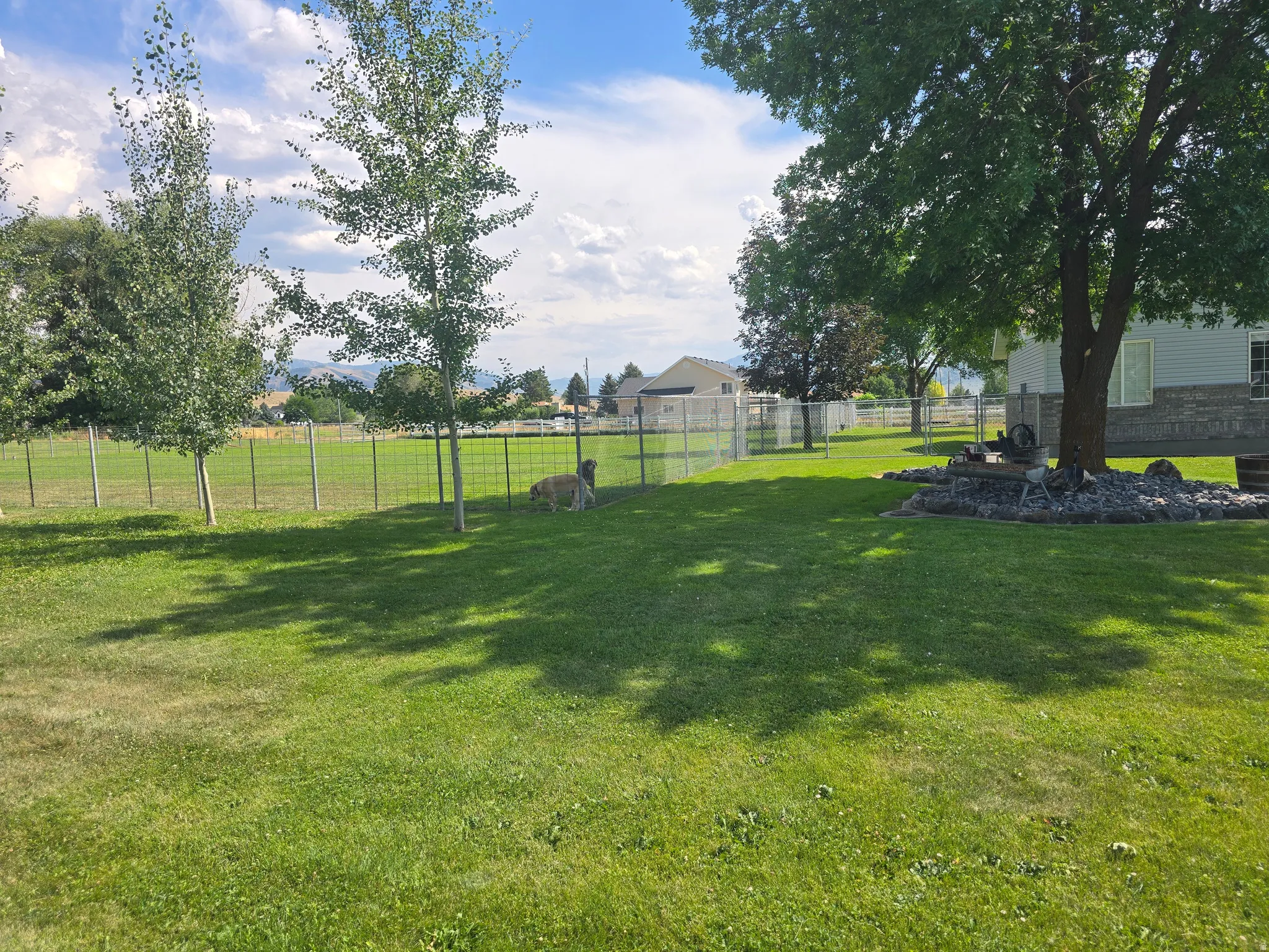 Expansive green lawn featuring mature trees and a chain-link fence bordering the property