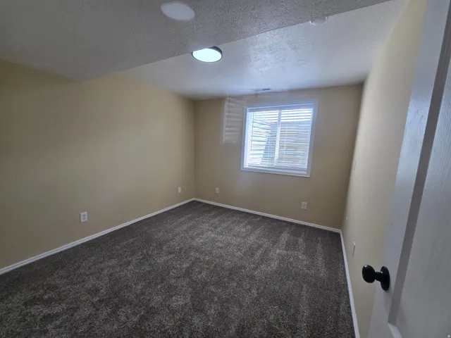 Carpeted room featuring a window with horizontal blinds, neutral-toned walls, white trim, and a flush-mount ceiling light fixture