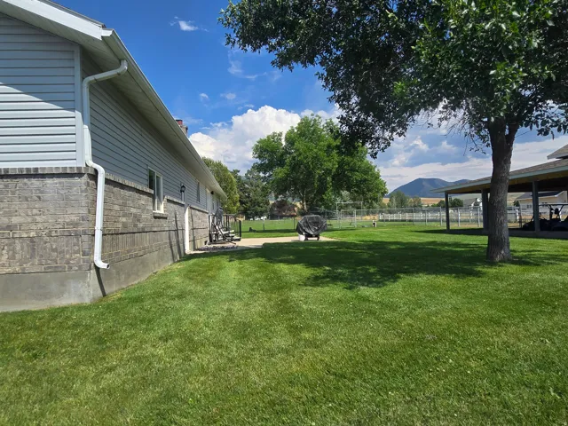 Expansive green lawn with mature shade trees, a concrete patio, and a covered outdoor structure