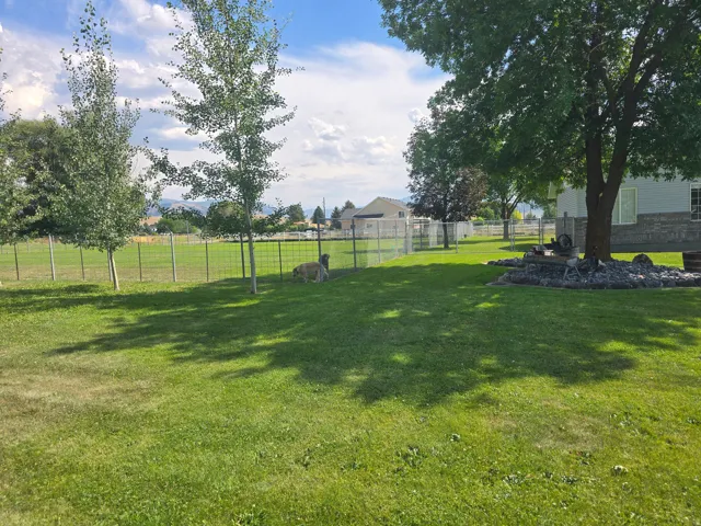 Expansive green lawn featuring mature trees and a chain-link fence bordering the property