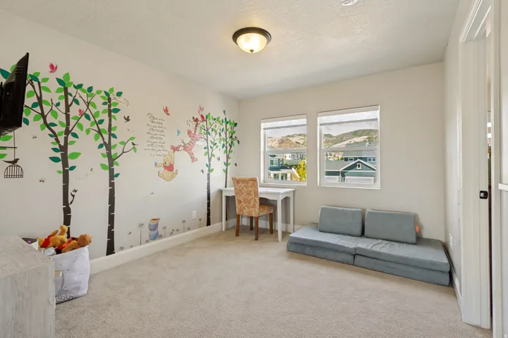 Carpeted room with light-toned walls, featuring two windows with roller blinds, a ceiling-mounted light fixture, and white trim