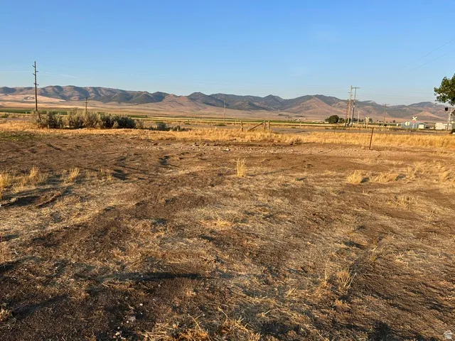 Expansive open land with a clear blue sky overhead