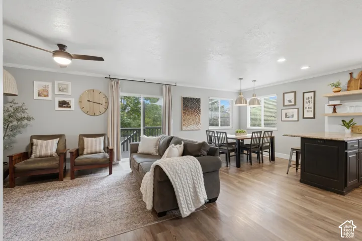 Open-concept living area featuring wood-finish flooring, and plenty of natural light.