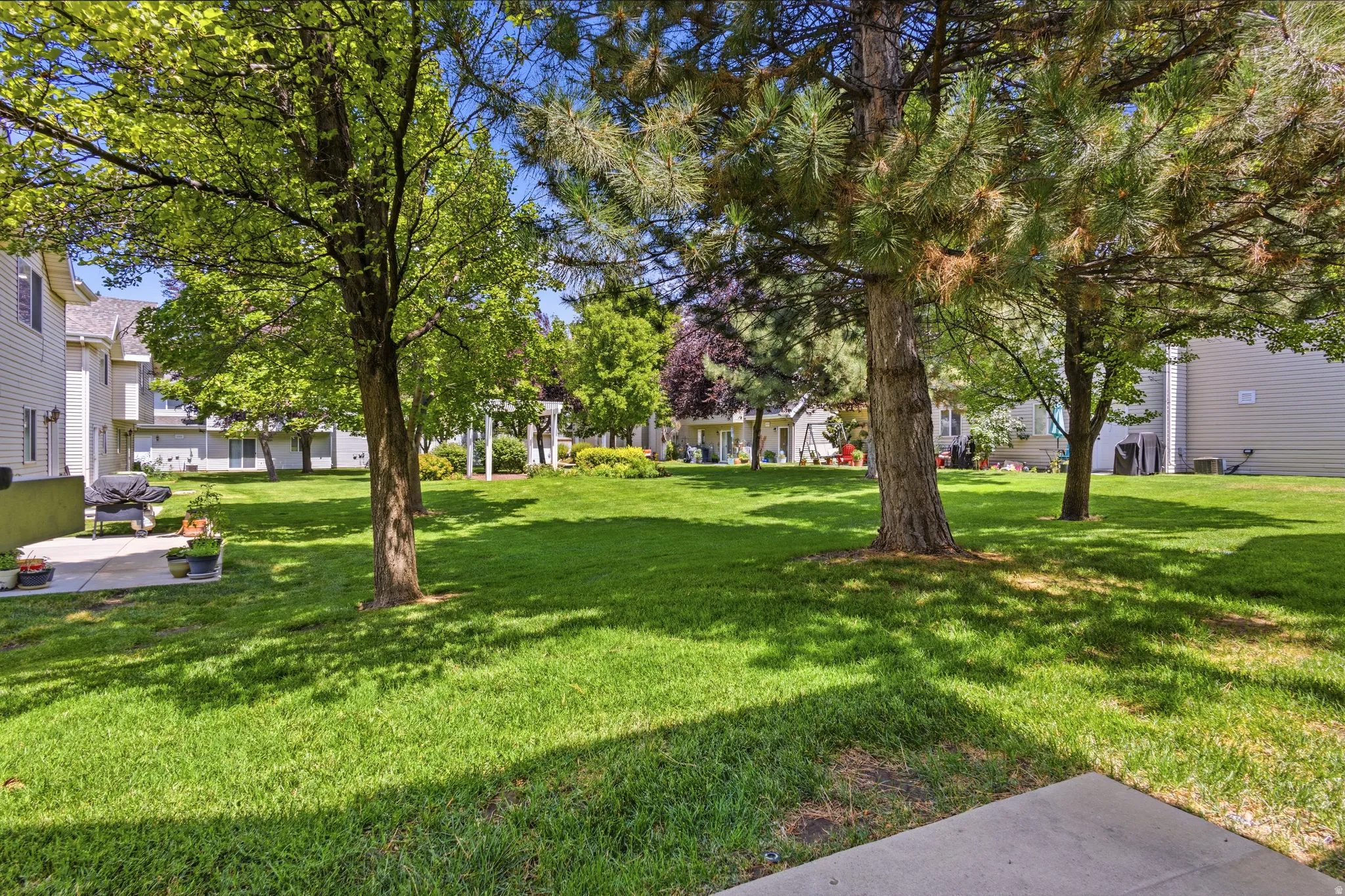 Expansive green space featuring mature trees, a white pergola, and a private patio area with concrete surfacing