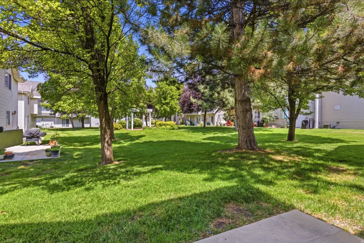 Expansive green space featuring mature trees, a white pergola, and a private patio area with concrete surfacing