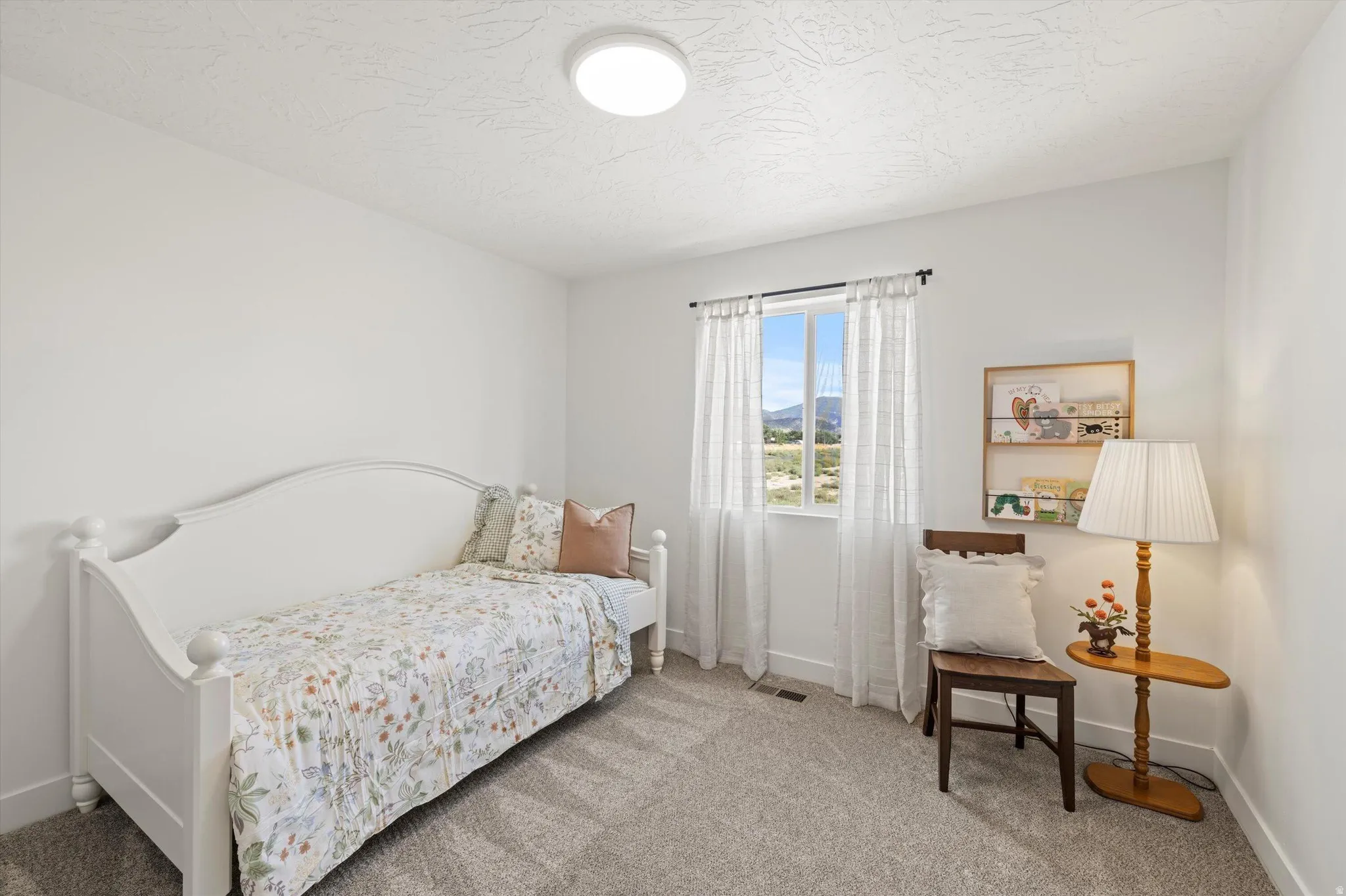 Bright room featuring a single window with white trim, carpeting, and a flush-mount ceiling light