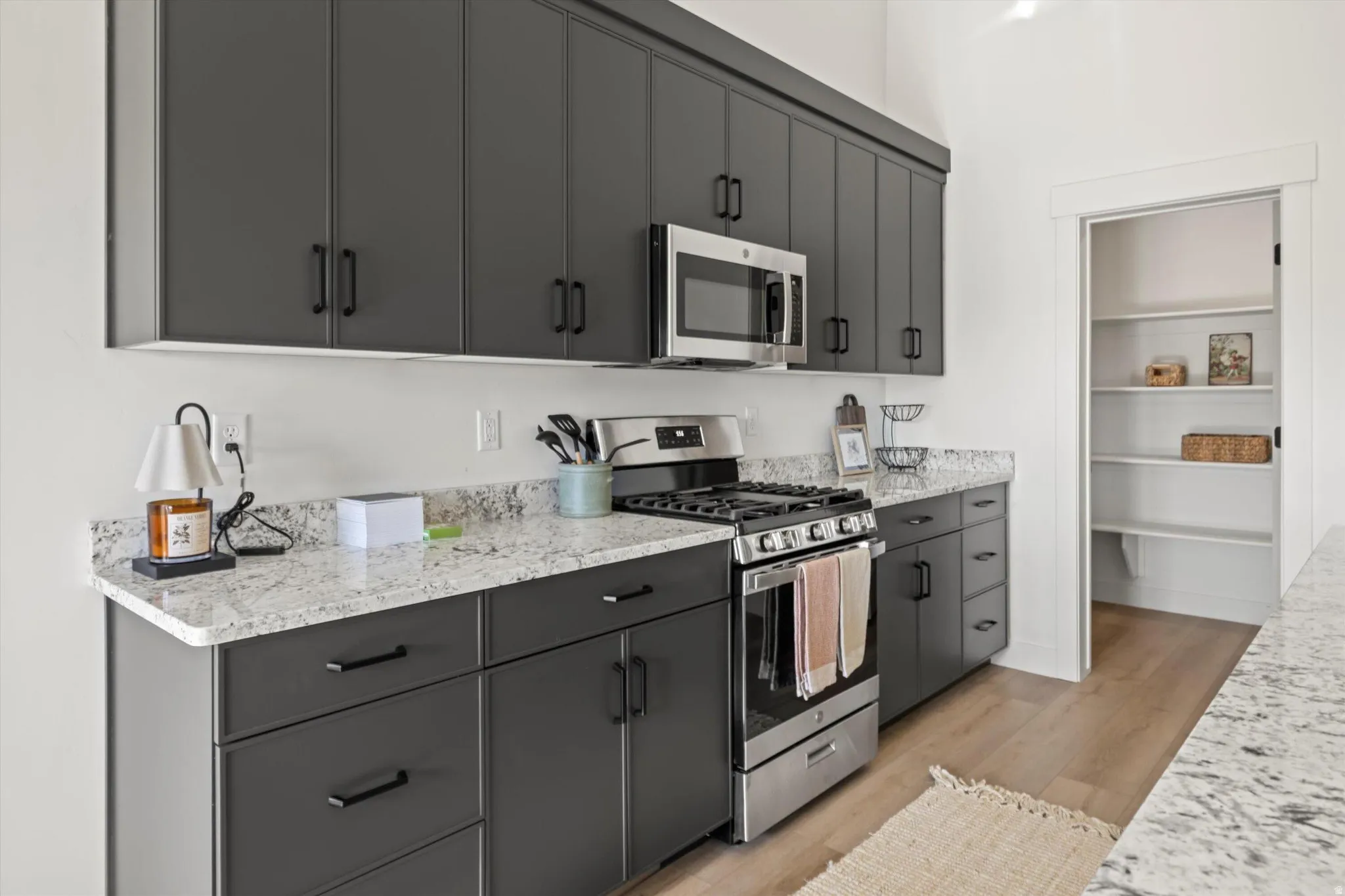 Modern kitchen featuring dark cabinetry, light-toned countertops, stainless steel appliances, wood-finish flooring, and a walk-in pantry with built-in shelving