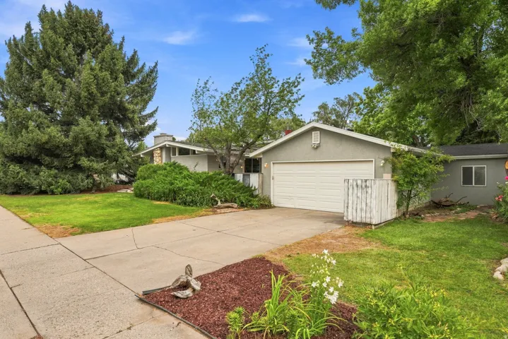 Spacious front yard with mature landscaping, featuring a concrete driveway, attached garage, and stucco exterior