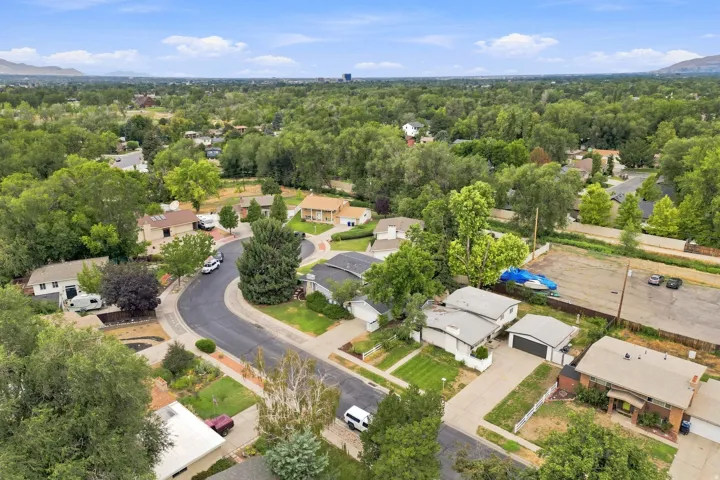 Aerial perspective showcasing a residential neighborhood with mature tree coverage