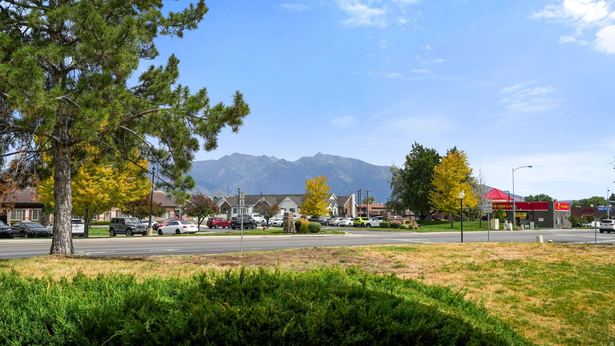 Street-level perspective featuring a paved road, established green landscaping, and mature trees