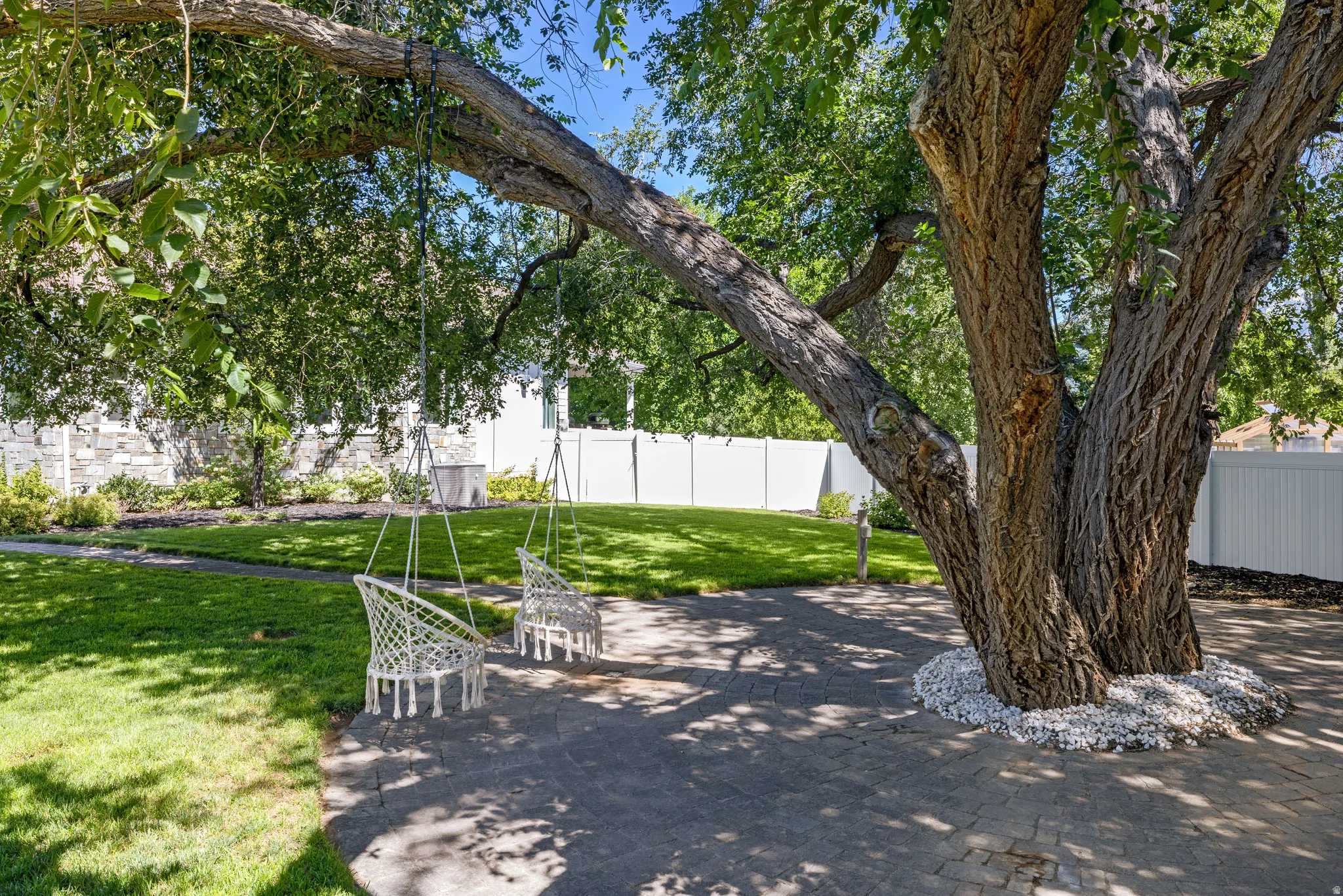 Mature tree providing extensive canopy over a paved patio area