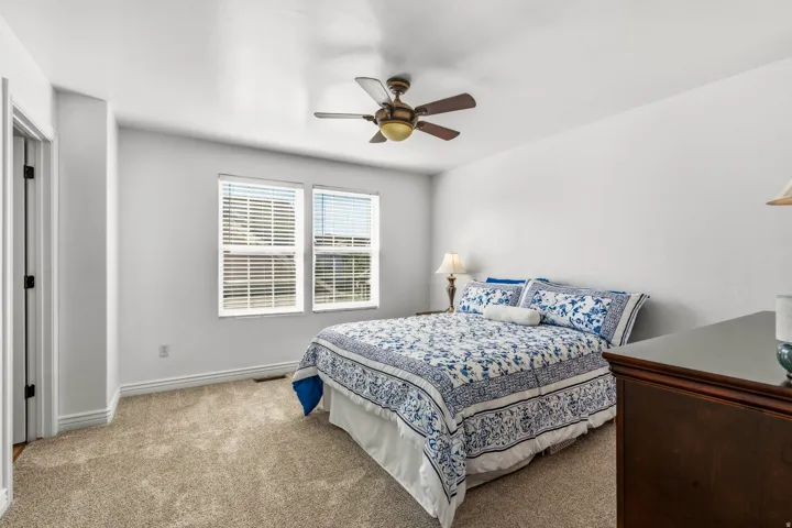 Plush carpeting, two windows with blinds, and an overhead ceiling fan