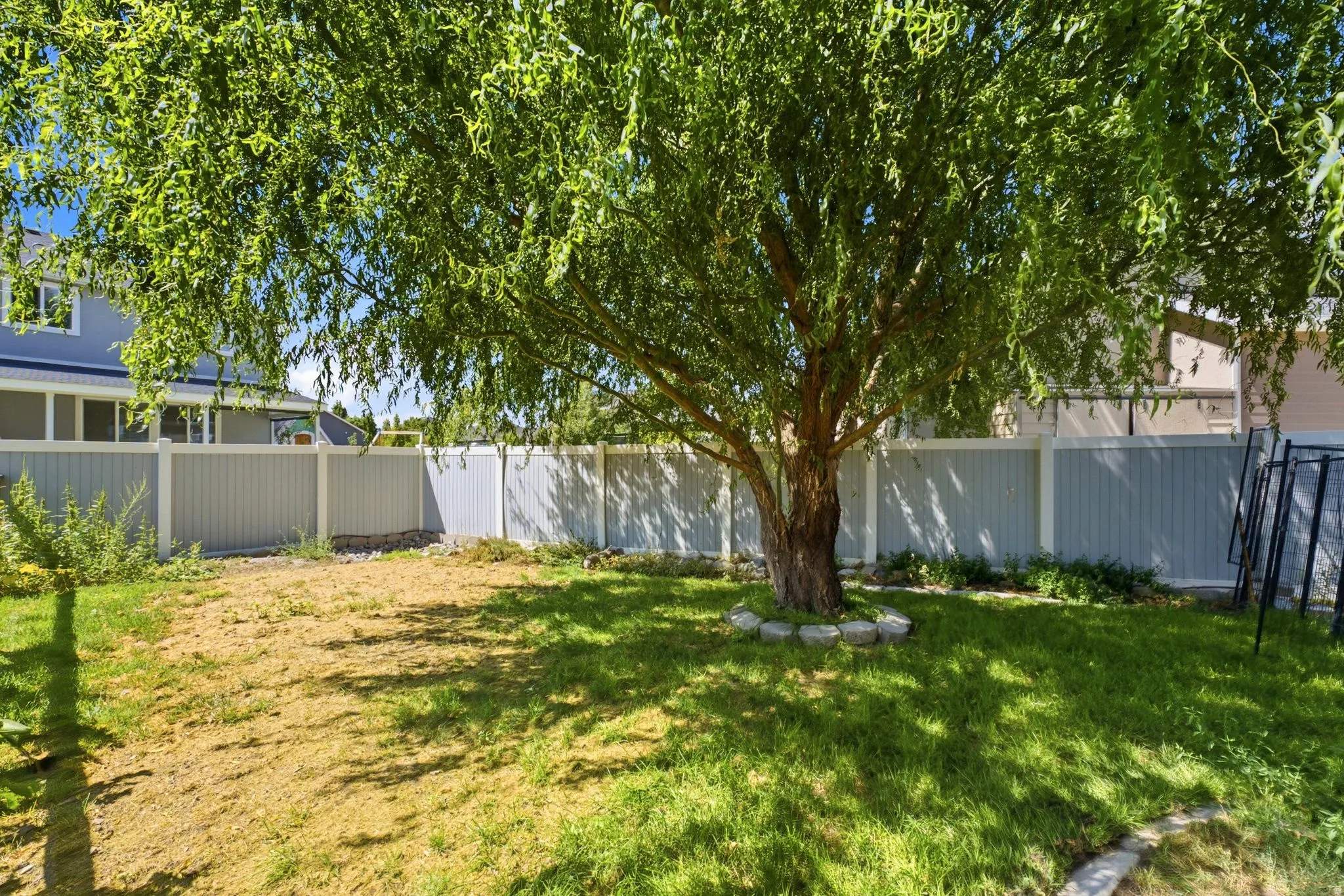 Spacious backyard featuring a mature deciduous tree, a light blue and white panel fence, and a stone-lined tree base
